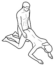 Doggy-Style - H�ndchenstellung