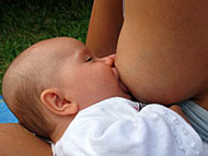 S�ugen an der Mutterbrust