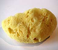 Naturschwamm- Menstruationsschw�mmchen