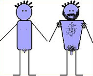 Pubert�t - K�rperliche Ver�nderungen bei Jungen 