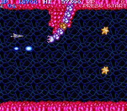 Screenshot Salamander